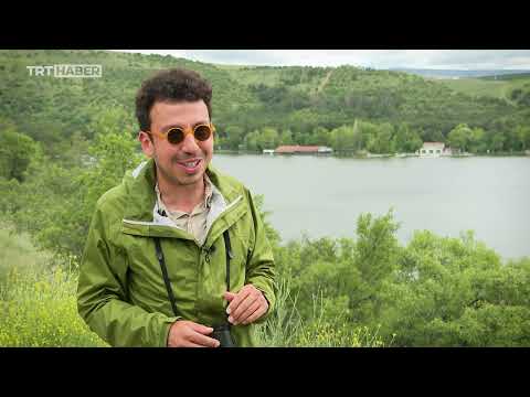 Kuş gözlemcisi Emin Yoğurtcuoğlu, Dünya Çevre Günü dolayısıyla Eymir Gölü’nde gözlem yaptı