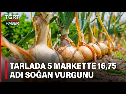 Aracı ve Marketlerin Soğan Vurgunu: Tarlada 5 Lira Markette 3 Katı - Tuna Öztunç İle TGRT Ana Haber