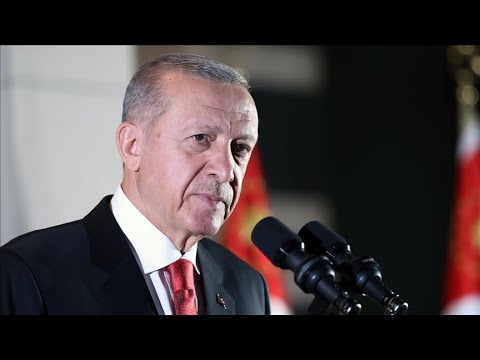Robust diplomacy is not option but obligation for Türkiye: President Erdogan