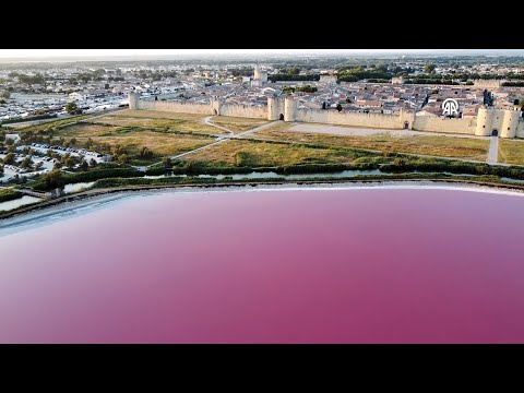 In France, salt fields turning pink with the summer season were captured from the air