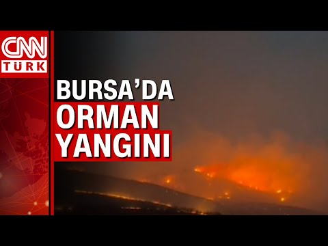 Bursa'nın Yenişehir ilçesinde orman yangını!