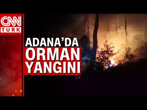 Adana’da aynı bölgede bir haftada ikinci yangın!