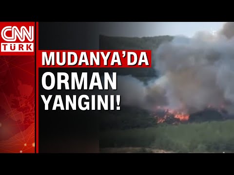 Bursa Mudanya'da orman yangınında son durum